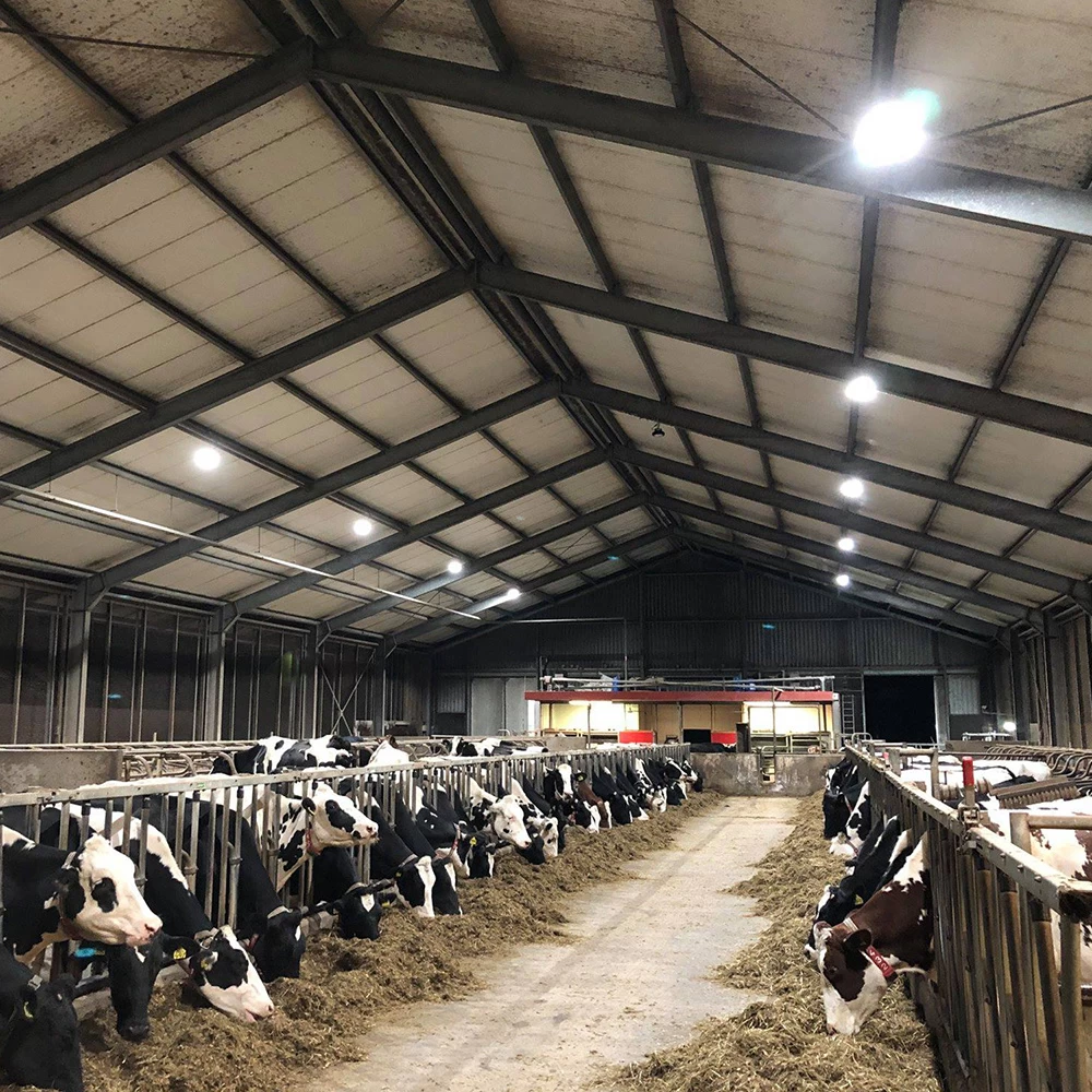 Huismerk LED High Bay UFO Basic 100 W - 3500 K - Afbeelding 8