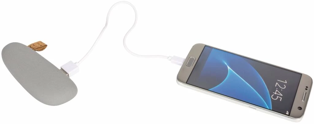 Sweex Sweex LED Powerbank 2600 MAh USB - Grijs - Afbeelding 4